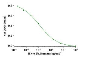 IFNA2B Protein - Biological Activity IFN-alpha 2b, Human induced cytotoxicity of R&amp;D TF-1 cells. The ED 50 for this effect is typically 20-50pg/mL.