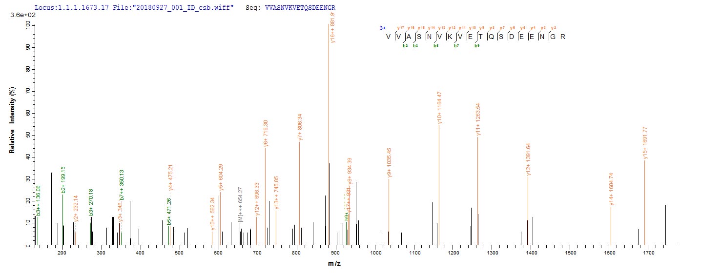IKZF1 / IKAROS Protein - Based on the SEQUEST from database of E.coli host and target protein, the LC-MS/MS Analysis result of Recombinant Human DNA-binding protein Ikaros(IKZF1) could indicate that this peptide derived from E.coli-expressed Homo sapiens (Human) IKZF1.