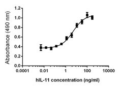 IL11 Protein - 7TD1 cell proliferation induced by human IL-11.