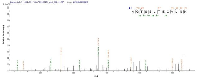 IL15RA Protein - Based on the SEQUEST from database of E.coli host and target protein, the LC-MS/MS Analysis result of Recombinant Human Interleukin-15 receptor subunit alpha(IL15RA),partial could indicate that this peptide derived from E.coli-expressed Homo sapiens (Human) IL15RA.