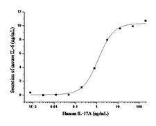 IL17 Protein - Measured by its ability to induce IL-6 secretion by NIH-3T3 mouse embryonic fibroblast cells in the presense of 20 ng/mL TNFa. The ED50 for this effect is 0.5-2.5 ng/mL.