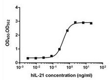IL21 Protein - Human IL-21 induced-production of IFN? by NK-92 cells.