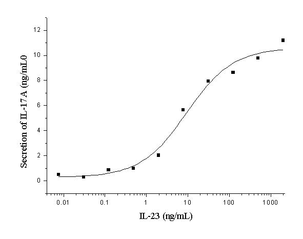 IL23 Protein - Measured by its ability to induce IL17 secretion by mouse splenocytes. The ED50 for this effect is 4-20 ng/mL.