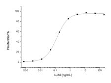 IL24 Protein - Measured in a cell proliferation assay using BaF3 mouse pro-B cells transfected with human IL­20 Ra and human IL­20 Rß. The EC50 for this effect is typically 0.05-0.25 ng/mL.