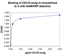 IL3RA / CD123 Protein