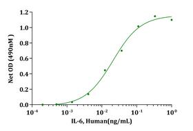 IL6 / Interleukin 6 Protein - Biological Activity IL-6, Human stimulates cell proliferation of 7TD1 cells. The ED 50 for this effect is less than 0.1ng/mL.