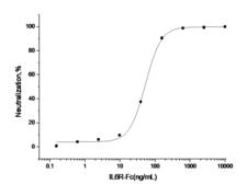 IL6R / IL6 Receptor Protein - Measured by its ability to enhance the activity of IL6 on M1 mouse myeloid leukemia cells. The ED50 for this effect is typically 30-125 ng/mL in the presence of 100 ng/mL of recombinant human IL6.