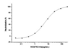 KDR / VEGFR2 / FLK1 Protein - Measured by its ability to inhibit the VEGF-dependent proliferation of human umbilical vein endothelial cells(HUVEC). The ED50 for this effect is typically 10-50µg/mL in the presence of 10 ng/mL recombinant human VEGF165.