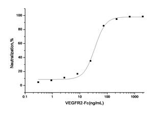 KDR / VEGFR2 / FLK1 Protein - Measured by its ability to inhibit the VEGF-dependent proliferation of human umbilical vein endothelial cells (HUVEC). The ED50 for this effect is typically 20-120 ng/mL in the presence of 10 ng/mL recombinant human VEGF165.