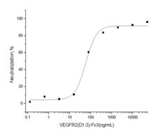 KDR / VEGFR2 / FLK1 Protein - Measured by its ability to inhibit VEGF-dependent proliferation of human umbilical vein endothelial cells (HUVEC) in the presence of 10 ng/mL rhVEGF165. The ED50 for this effect is 40-120ng/mL.