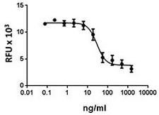 KDR / VEGFR2 / FLK1 Protein - HUVEC cell proliferation induced by VEGF165 in the presence of VEGFR2.