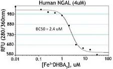 LCN2 / Lipocalin 2 / NGAL Protein - Binding activity of hNGAL