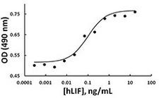 LIF Protein - Human leukemia inhibitory factor (LIF) induces proliferation of TF-1 cells in a dose dependent manner.