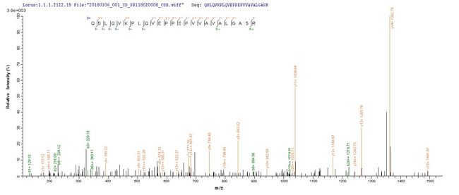 MAdCAM-1 Protein - Based on the SEQUEST from database of Mammalian Cell host and target protein, the LC-MS/MS Analysis result of Recombinant Human Mucosal addressin cell adhesion molecule 1(MADCAM1),partial could indicate that this peptide derived from Mammalian Cell-expressed Homo sapiens (Human) MADCAM1.