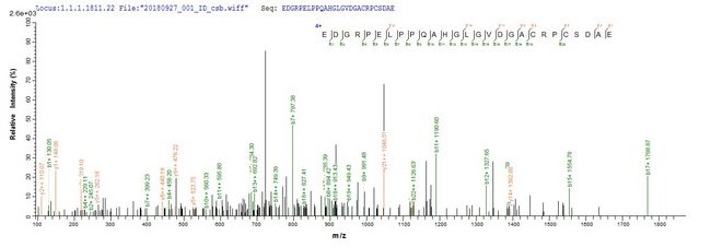 METRN / Meteorin Protein - Based on the SEQUEST from database of E.coli host and target protein, the LC-MS/MS Analysis result of Recombinant Human Meteorin(METRN) could indicate that this peptide derived from E.coli-expressed Homo sapiens (Human) METRN.