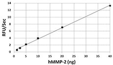 MMP2 Protein - The activity of human MMP-2 was measured with 10 µM of fluorogenic MMP substrate, Mca-PLGL-Dpa-AR-NH2, in the presence of 1.25, 2.5, 5.0, 10, 20, and 40 ng of activated hMMP-2.