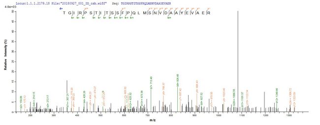 MMP20 Protein - Based on the SEQUEST from database of E.coli host and target protein, the LC-MS/MS Analysis result of Recombinant Human Matrix metalloproteinase-20(MMP20) could indicate that this peptide derived from E.coli-expressed Homo sapiens (Human) MMP20.