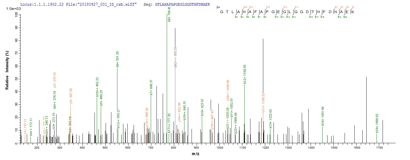 MMP20 Protein - Based on the SEQUEST from database of E.coli host and target protein, the LC-MS/MS Analysis result of Recombinant Human Matrix metalloproteinase-20(MMP20) could indicate that this peptide derived from E.coli-expressed Homo sapiens (Human) MMP20.