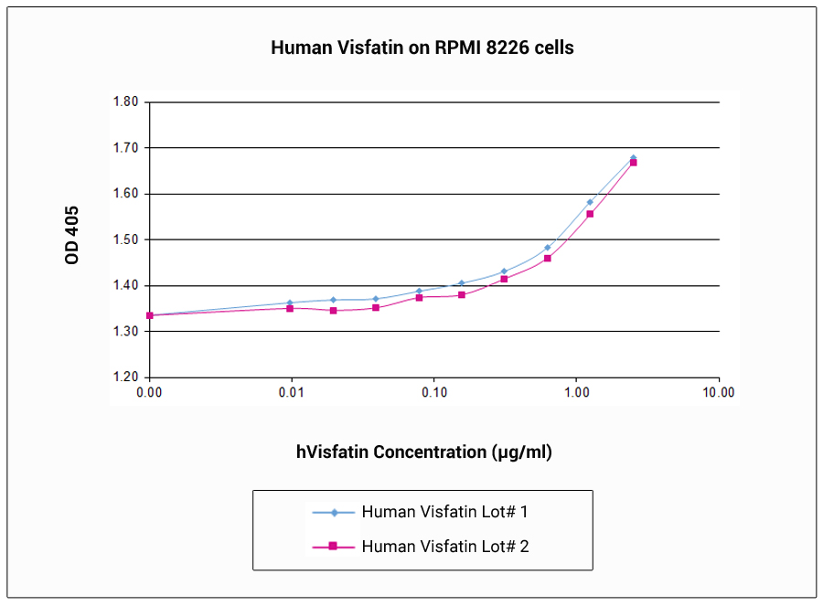 NAMPT / Visfatin Protein