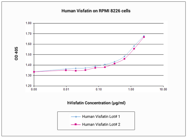 NAMPT / Visfatin Protein