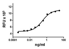 NRG1 / Heregulin / Neuregulin Protein - MCF-7 cell proliferation induced by human NRG1 (heregulin).
