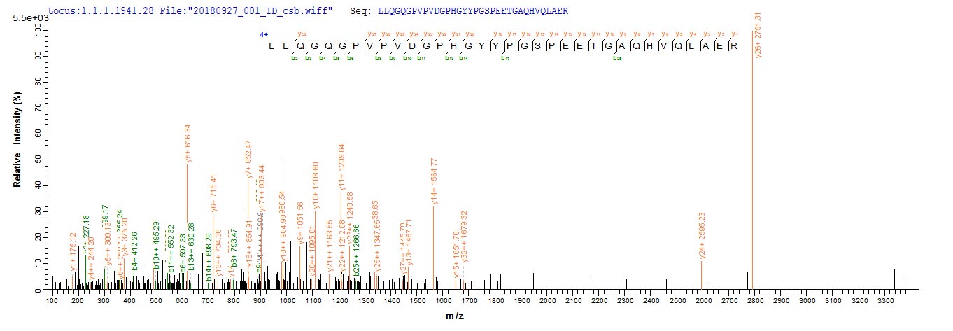 NRL Protein - Based on the SEQUEST from database of E.coli host and target protein, the LC-MS/MS Analysis result of Recombinant Human Neural retina-specific leucine zipper protein(NRL) could indicate that this peptide derived from E.coli-expressed Homo sapiens (Human) NRL.