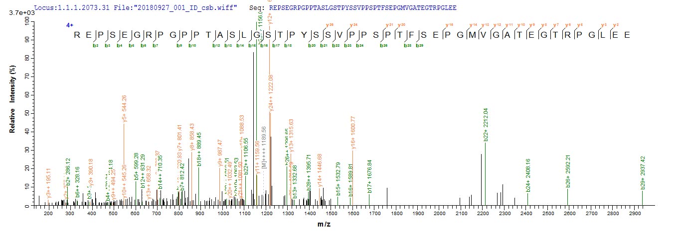 NRL Protein - Based on the SEQUEST from database of E.coli host and target protein, the LC-MS/MS Analysis result of Recombinant Human Neural retina-specific leucine zipper protein(NRL) could indicate that this peptide derived from E.coli-expressed Homo sapiens (Human) NRL.
