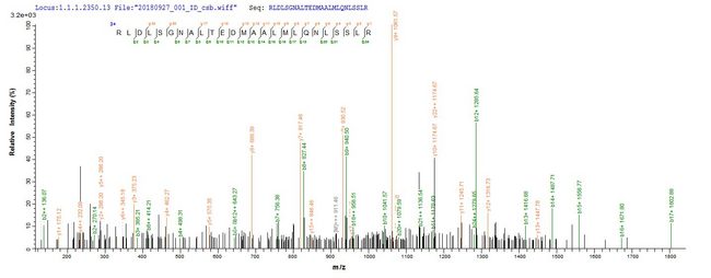 NRROS / LRRC33 Protein - Based on the SEQUEST from database of E.coli host and target protein, the LC-MS/MS Analysis result of Recombinant Human Negative regulator of reactive oxygen species(NRROS),partial could indicate that this peptide derived from E.coli-expressed Homo sapiens (Human) NRROS.