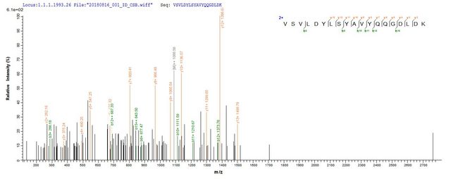 P4HA1 Protein - Based on the SEQUEST from database of E.coli host and target protein, the LC-MS/MS Analysis result of Recombinant Human Prolyl 4-hydroxylase subunit alpha-1(P4HA1) could indicate that this peptide derived from E.coli-expressed Homo sapiens (Human) P4HA1.