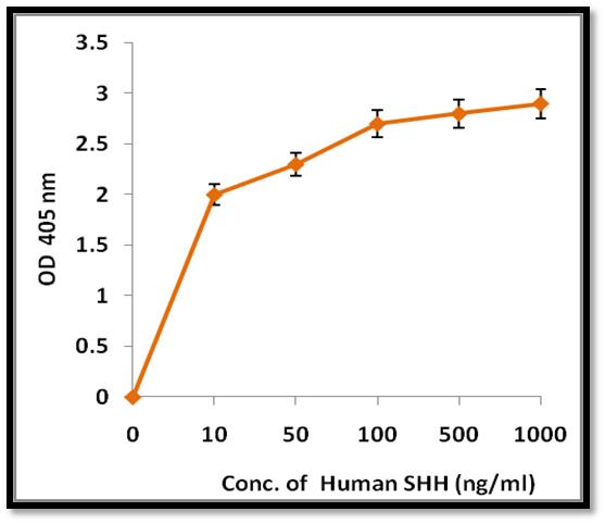 SHH / Sonic Hedgehog Protein - Measured by its ability to induce alkaline phosphatase production by C3H10T1/2 mouse embryonic fibroblast cells. The ED50 for this effect is typically 0.1­ - 0.4 µg/mL.