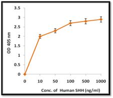 SHH / Sonic Hedgehog Protein - Measured by its ability to induce alkaline phosphatase production by C3H10T1/2 mouse embryonic fibroblast cells. The ED50 for this effect is typically 0.1­ - 0.4 µg/mL.
