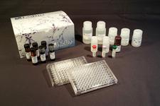 TBX10 ELISA Kit