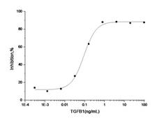 TGFB1 / TGF Beta 1 Protein - Measured by its ability to inhibit cell proliferation of Mv-1-lu mink lung epithelial cells. The ED50 for this effect is typically 0.04-0.2 ng/mL.