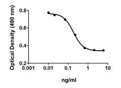 TGFB3 / TGF Beta3 Protein - TGF-ß3 effect on HT-2 cell proliferation induced by mouse IL-4.