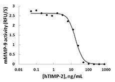 TIMP2 Protein - Activated mouse MMP-9 (100 ng/mL) is inhibited by different concentrations of human TIMP-2.