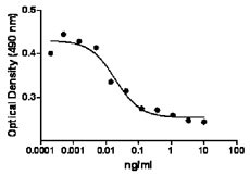 TNF Alpha Protein - Human TNF-Î± cytotoxicity on L929 cells.