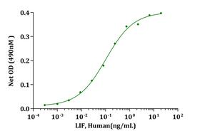 TNF Alpha Protein - Biological Activity LIF, Human stimulates cell proliferation of R&amp;D TF-1 cells. The ED 50 for this effect is less than 0.2ng/mL.