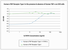 TNFRSF1A / TNFR1 Protein
