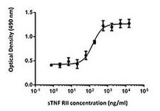 TNFRSF1B / TNFR2 Protein - Inhibition of TNFÎ±-induced cytotoxicity in L929 cells by soluble TNF-RII.