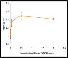 TNFSF15 / TL1A / VEGI Protein - The ED(50) was determined by the dose-dependent proliferation of Jurkat cells and was found to be <0.5ng/mL.