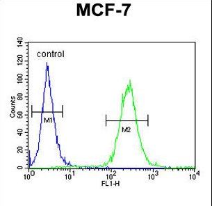 HUPF2 / UPF2 Antibody - UPF2 Antibody flow cytometry of MCF-7 cells (right histogram) compared to a negative control cell (left histogram). FITC-conjugated goat-anti-rabbit secondary antibodies were used for the analysis.