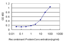 HYAL1 Antibody - Detection limit for recombinant GST tagged HYAL1 is approximately 1 ng/ml as a capture antibody.