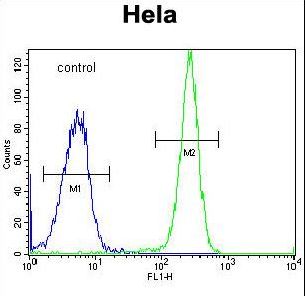 HYAL2 Antibody - HYAL2 Antibody flow cytometry of HeLa cells (right histogram) compared to a negative control cell (left histogram). FITC-conjugated goat-anti-rabbit secondary antibodies were used for the analysis.