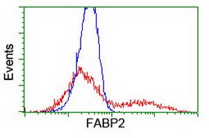 I-FABP / FABP2 Antibody - HEK293T cells transfected with either overexpress plasmid (Red) or empty vector control plasmid (Blue) were immunostained by anti-FABP2 antibody, and then analyzed by flow cytometry.
