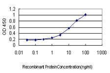 ICA69 / ICA1 Antibody - Detection limit for recombinant GST tagged ICA1 is approximately 0.3 ng/ml as a capture antibody.