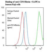ICAM-1 / CD54 Antibody - Flow cytometry of ICAM1 / CD54 antibody This image was taken for the unconjugated form of this product. Other forms have not been tested.