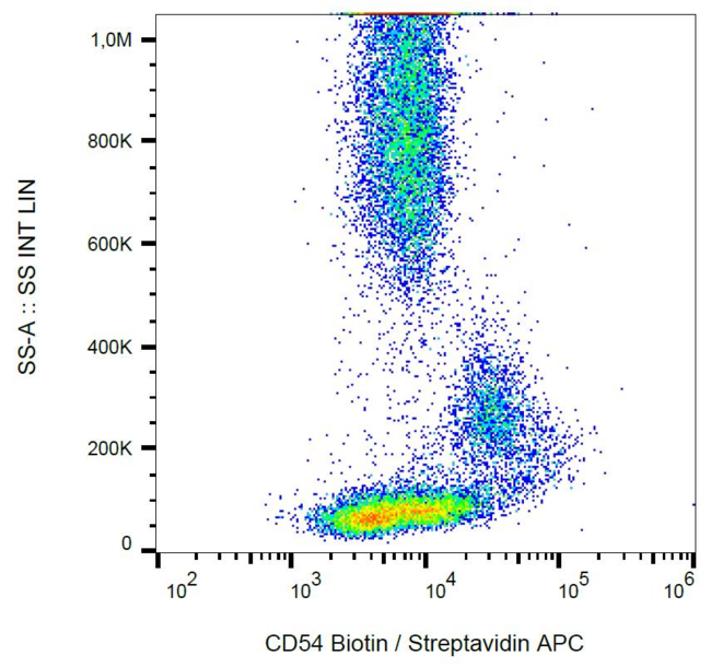 ICAM-1 / CD54 Antibody - Expression of CD54 in normal human peripheral blood, as detected with anti-CD54 (1H4) biotin.