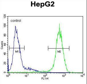ICAM2 / CD102 Antibody - ICAM2 Antibody flow cytometry of HepG2 cells (right histogram) compared to a negative control cell (left histogram). FITC-conjugated goat-anti-rabbit secondary antibodies were used for the analysis.