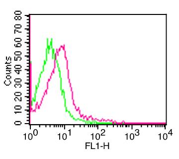 ICAM3 / CD50 Antibody - Fig-1: Cell Surface flow analysis of hCD50 in PBMC (Lymphocyte gated) using 1 µg/10^6 cells. Green represents isotype control; red represents FITC conjugate anti-hCD50 antibody (F).