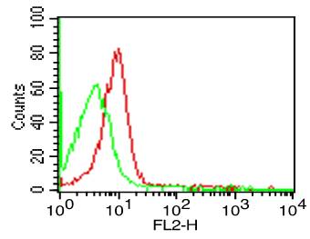 ICAM3 / CD50 Antibody - Fig-1: Cell Surface flow analysis of hCD50 in PBMC (Lymphocyte gated) using 1 µg/10^6 cells. Green represents isotype control; red represents anti-hCD50 antibody. Goat anti-mouse PE conjugated secondary antibody was used.